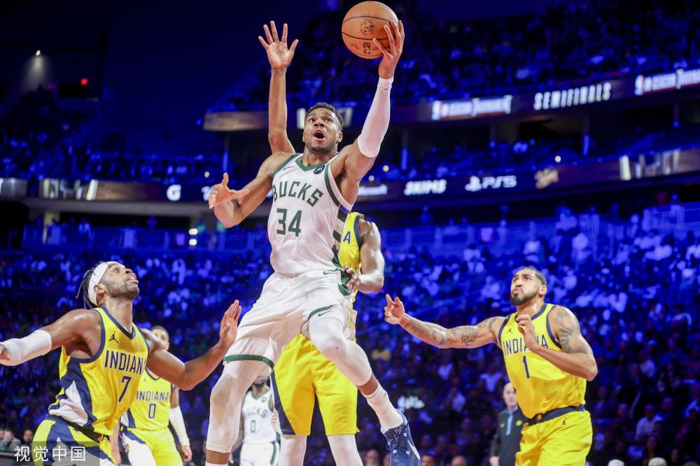 专注培养本 专注培养本